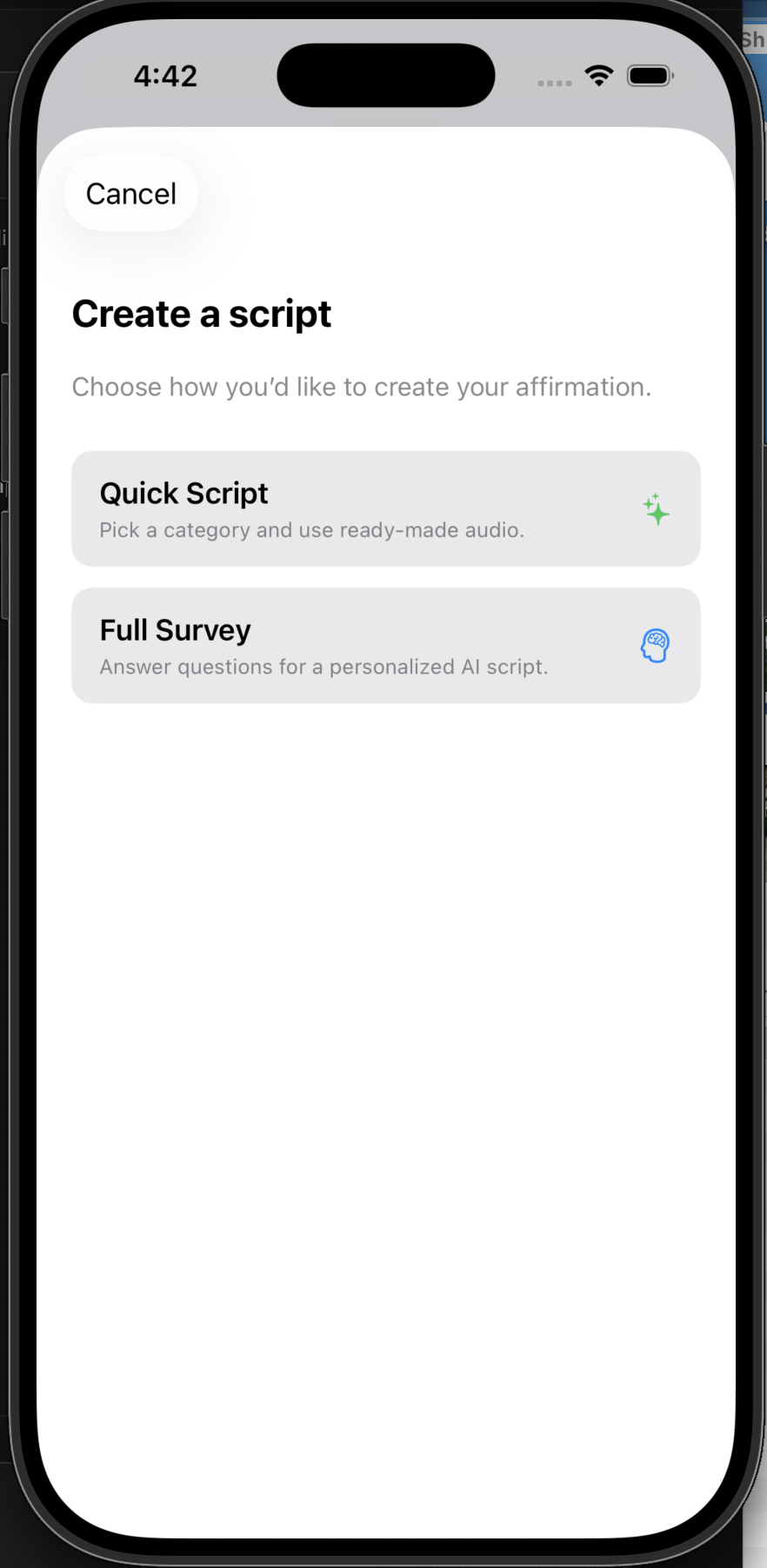 Create a script screen